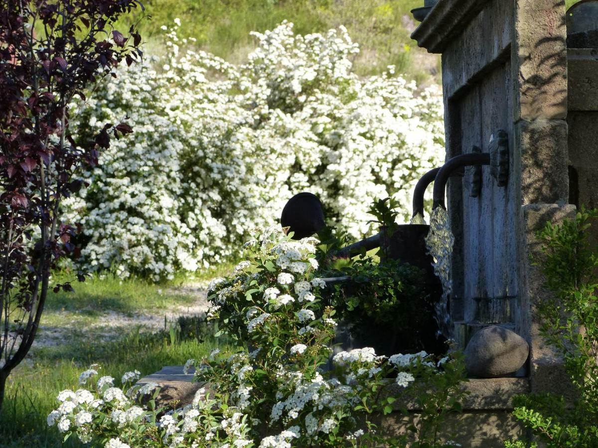 Bed and Breakfast Pigeonnier Des Banons Puimoisson Exteriér fotografie